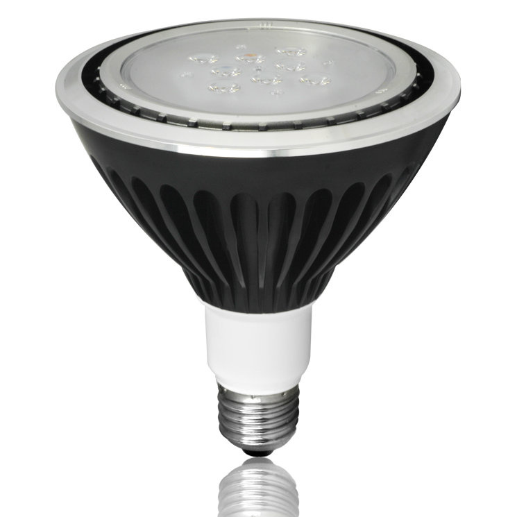 LED Landscape PAR38 Spotlight with IP67