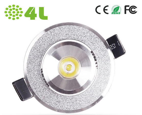 1W LED Ceiling Spot Light