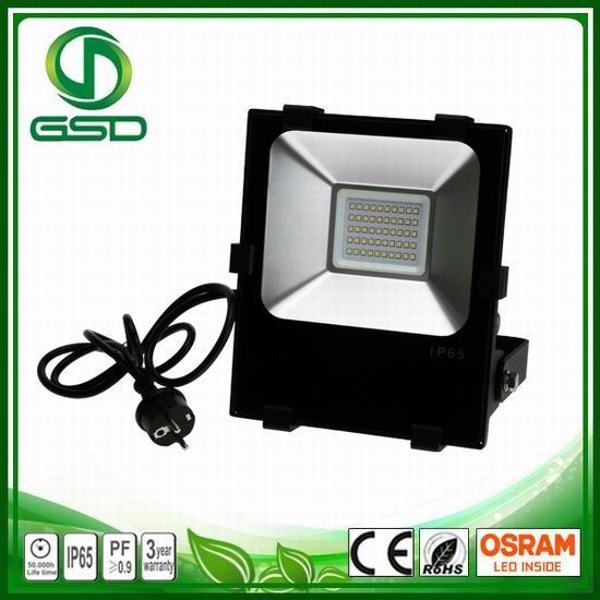 Remote Control Outdoor LED Flood Lights 30W 220V Light Flood