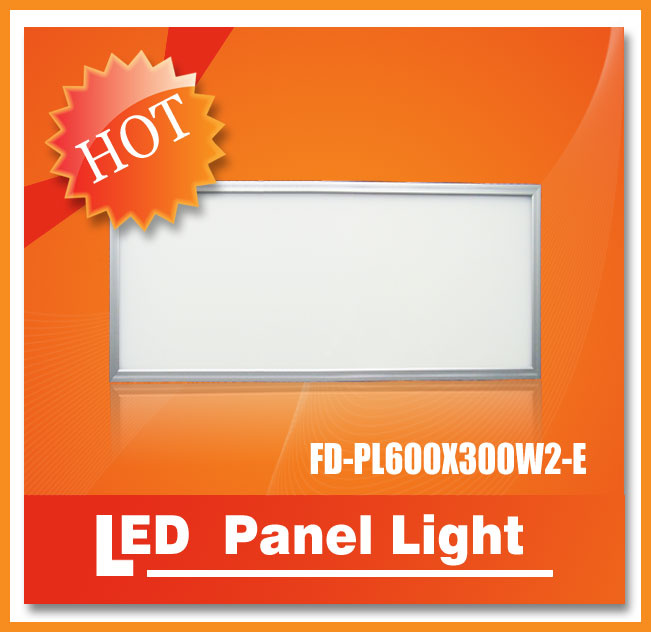 300X600 36W 24VDC with 3 Years Warranty LED Panel Light