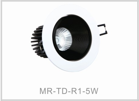 5W High Brightness LED Down Light