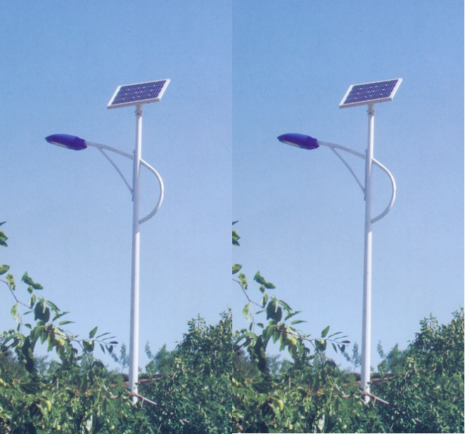 CREE LED Street Light