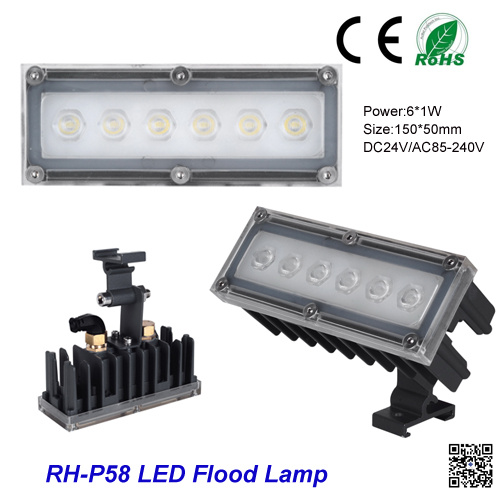 IP66 RGB Garden LED Lights DC24 Volt