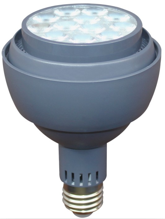 30W PAR30 LED Spotlgiht