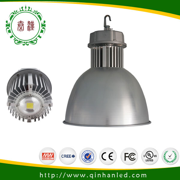 30W LED Outdoor High Bay Light (QH-IL-30W1B)