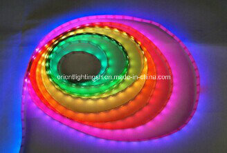 SMD 5060 Artificial Intelligent Flexible Strip-36 LEDs/M IP68 LED Light