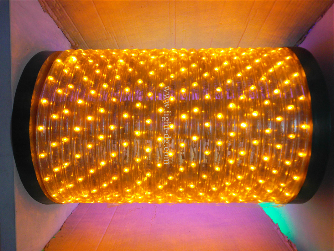 2wires LED Rope Light Outdoor