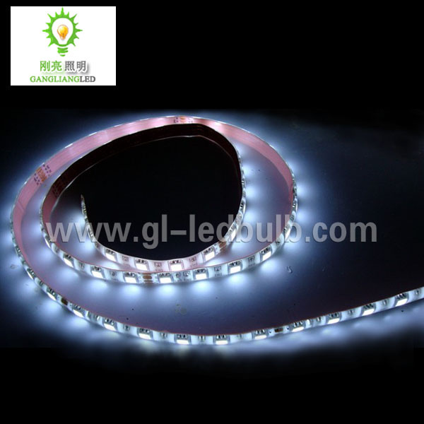 Decorative Light (120cm-60SMD-5050)