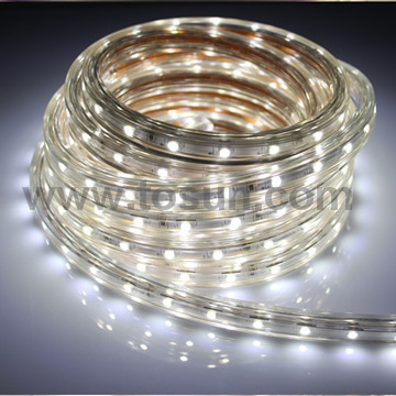 SMD 3528 5050 12V 24V LED Strip Light