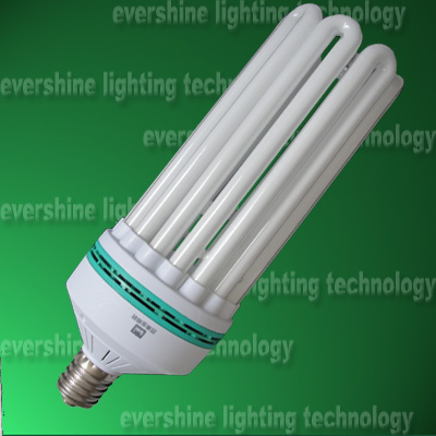 8u Fluorescent Light