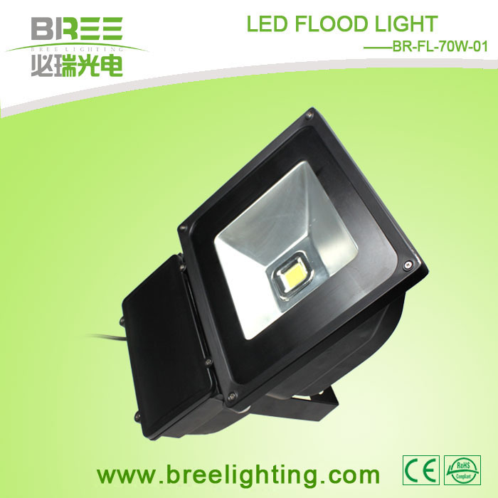 Energy-Saving 100W Flood Light (BR-FL-100W-01)