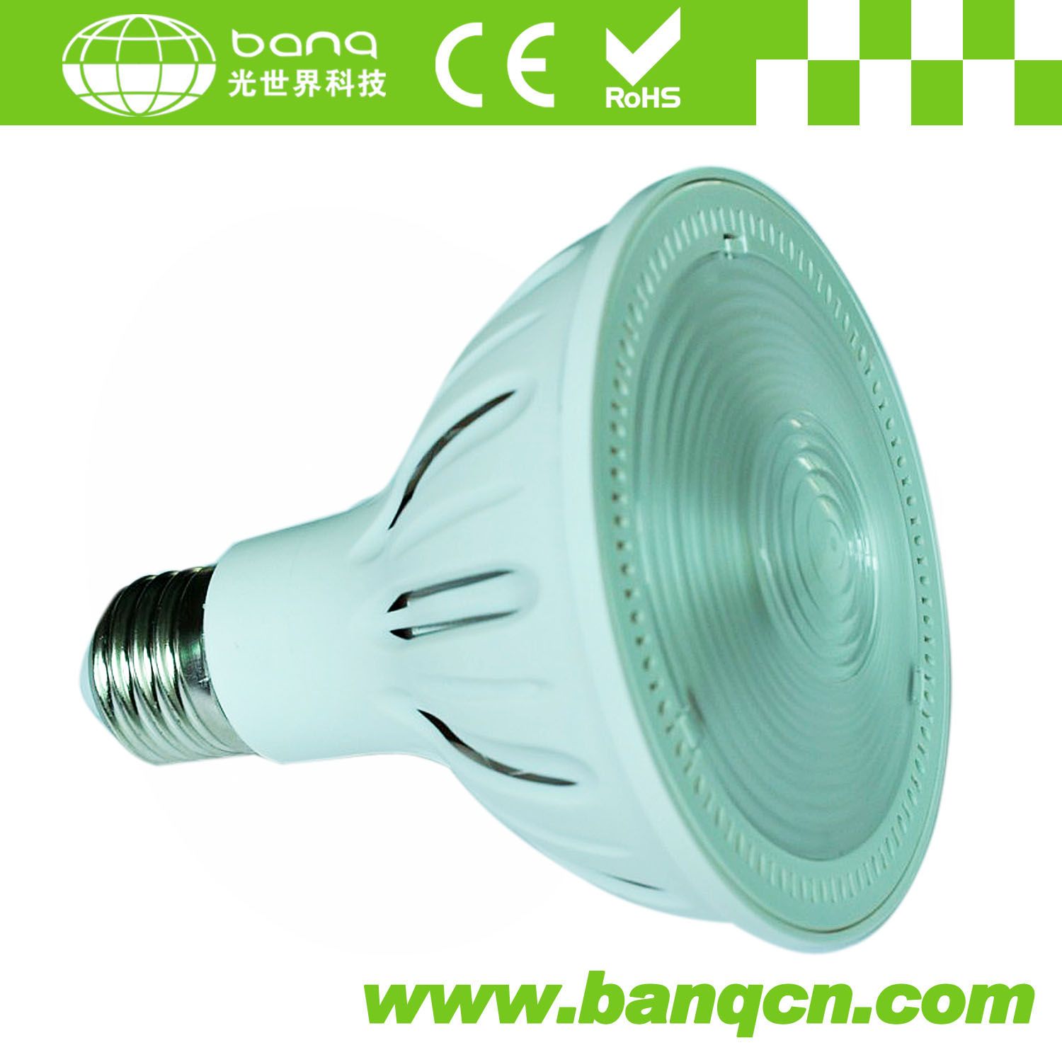 PAR30 10W COB LED Spotlight with Fresnel Lens
