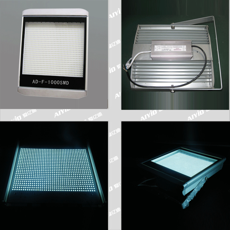 LED Flood Light