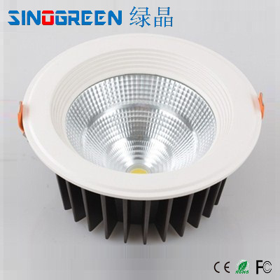 Competitive LED Down Light (LJ-TD019B)