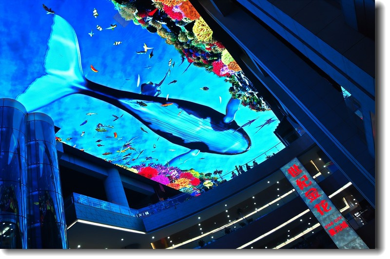 Custom Full Color P6 Indoor Fixed LED Display