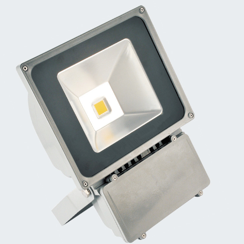 LED Flood Light LED Floodlight LED Light (100W)