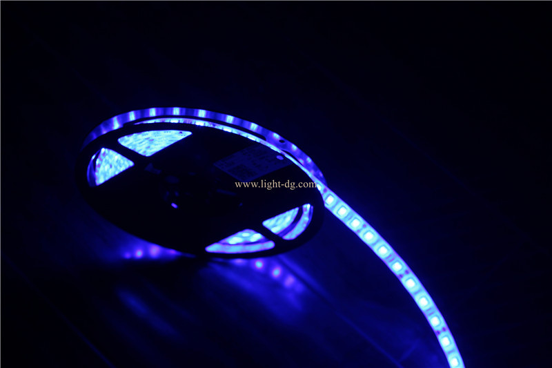 12V 5050 SMD LED Strip Light