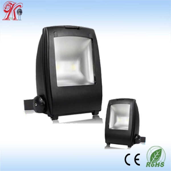 Outdoor High Lumen LED Outdoor Flood Light 100W 110V
