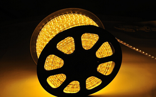 LED 230V / 110V 5050SMD LED Strip Light LED Light