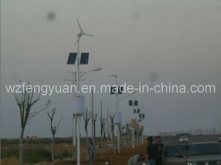 Wind Solar LED Street Light