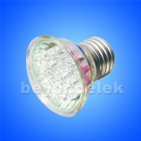 LED Light