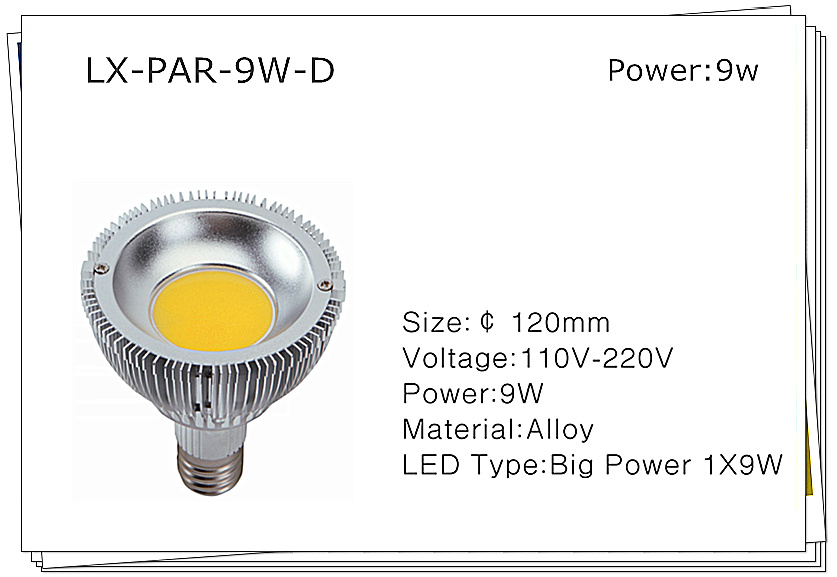 LED PAR Light (LX-PAR)