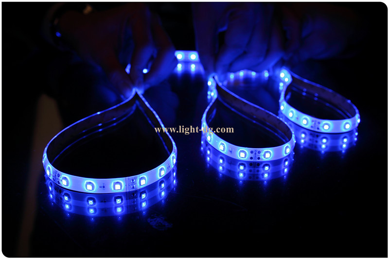 LED SMD 5050 Strip Light IP65