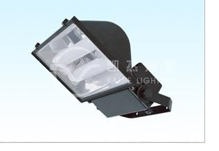 Induction Lamps Flood Lights (VE_FL_8405)