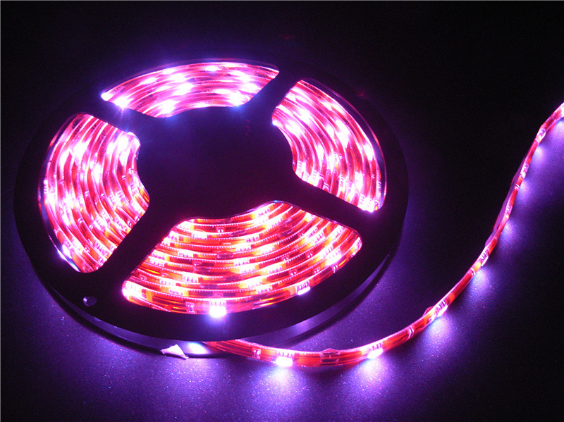 LED Strip Light (XL-10Y60RGB-35)