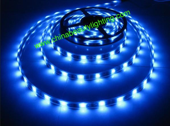 12V/24V DC SMD5050 LED Strip Light LED Light