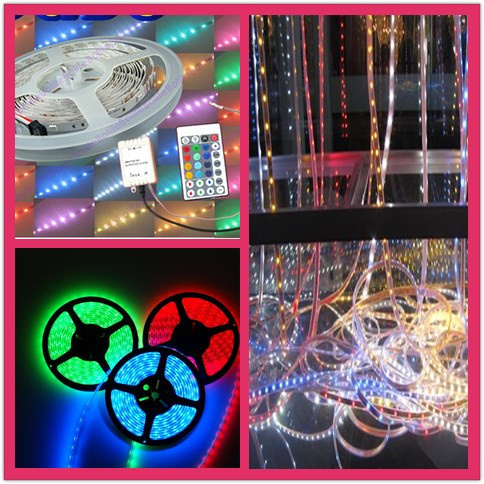 2 Years Warrnty 2835SMD LED Strip Light LED