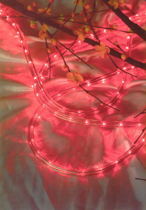 LED Rope Light