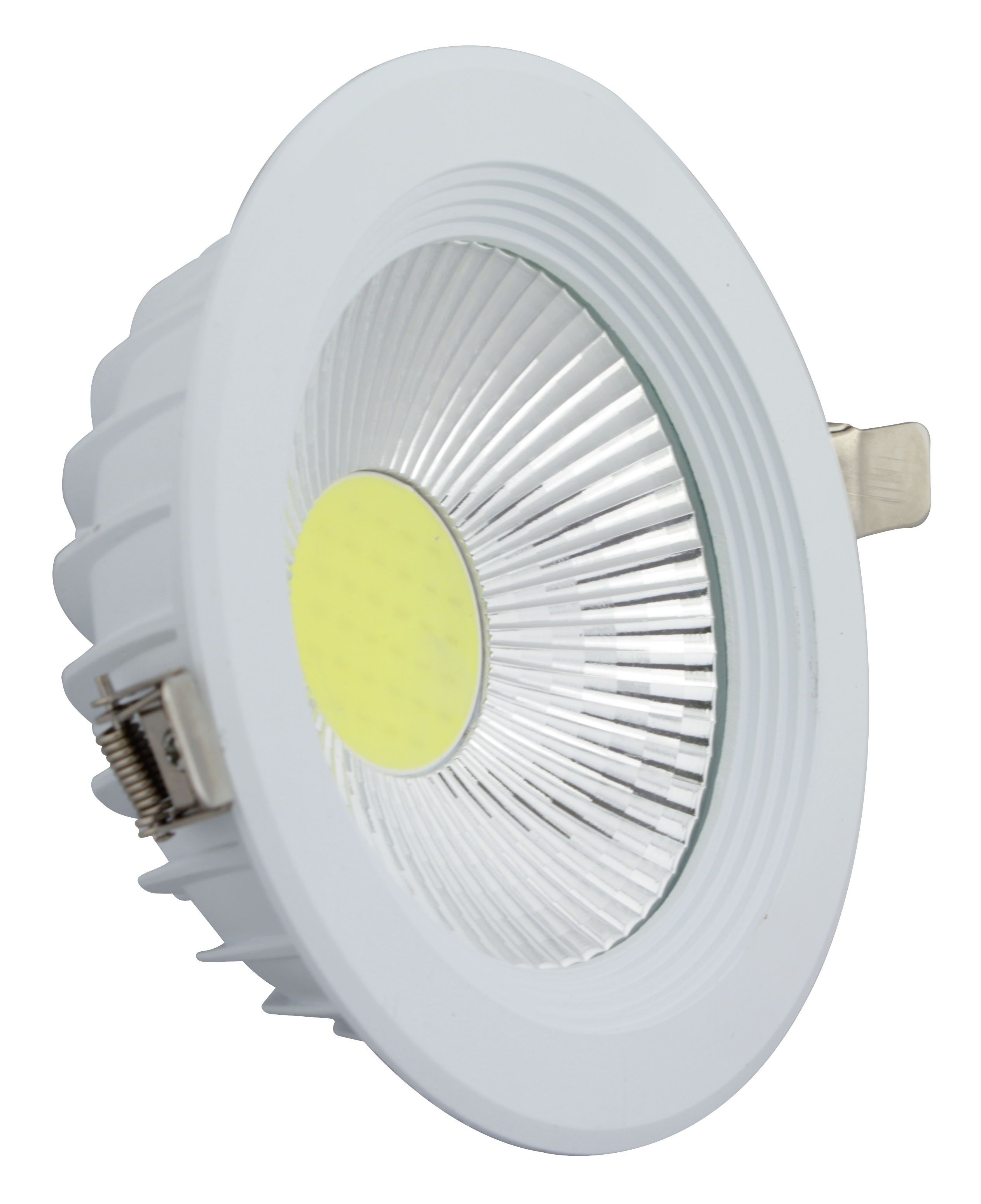 8 Inch 12W LED Down Light