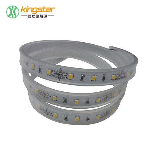 SMD 5050 LED Flexible Strip Light