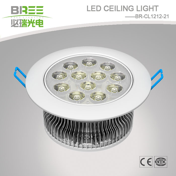 Super Brightness LED Ceiling Light 12W