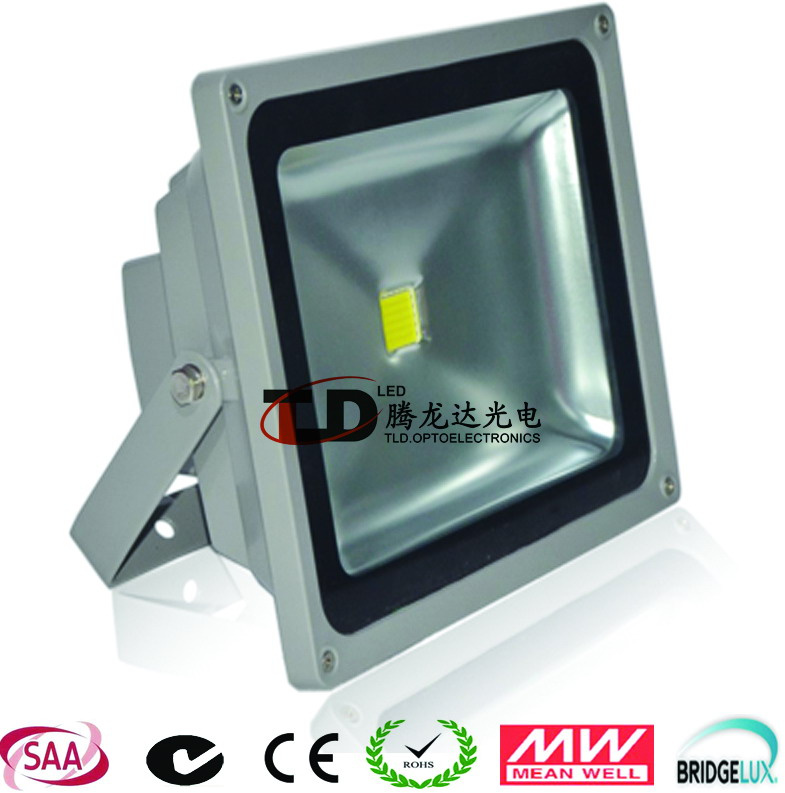 China LED Outdoor Flood Light
