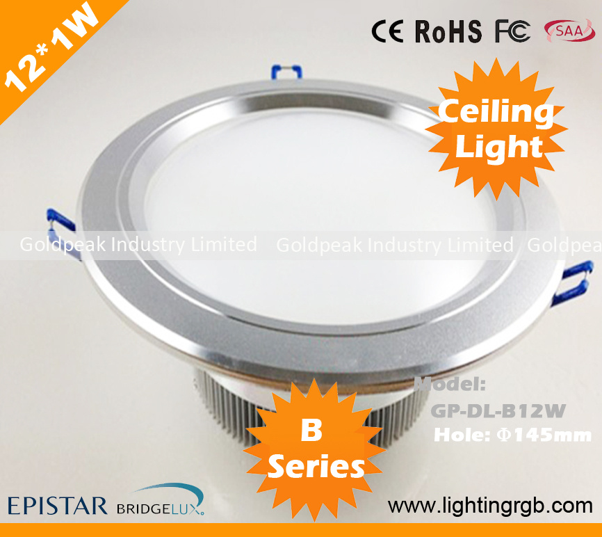 12*1W LED Ceiling Light/ LED Ceiling Lamp/ LED Down Light
