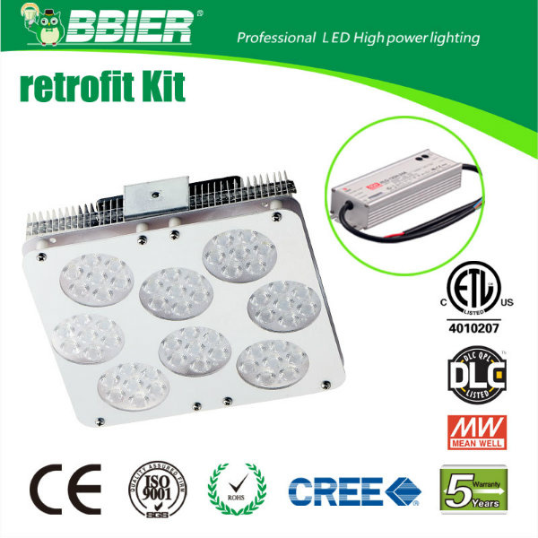 Super Bright LED Garden Post Light (BBSDD-100W)