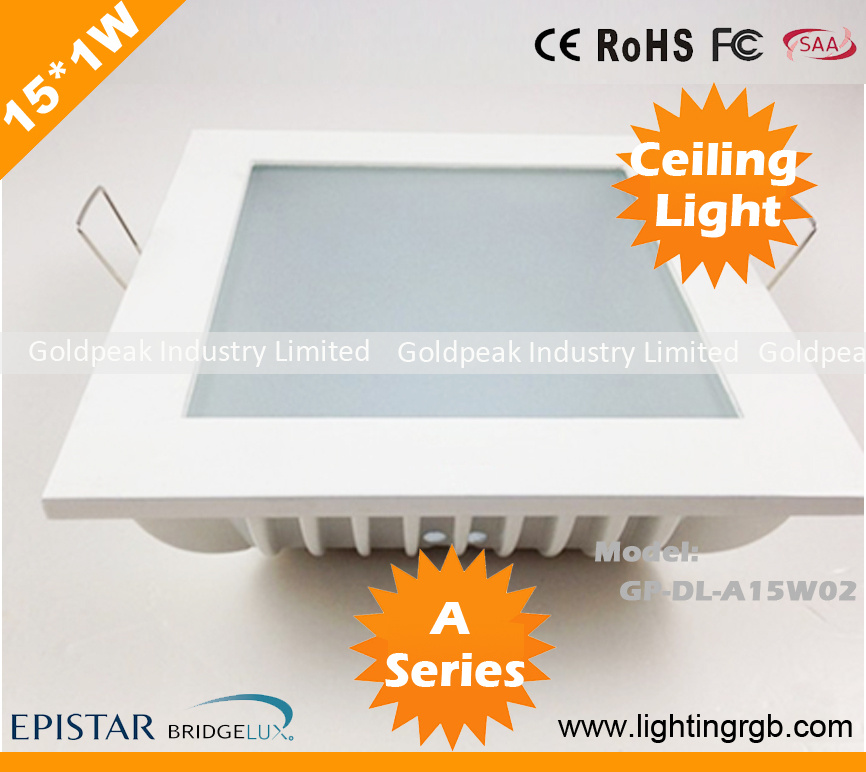 15W LED Ceiling Lamp/ LED Ceiling Light/ LED Down Light