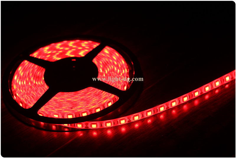 Wholesale High Quality 5050 LED Strip Light