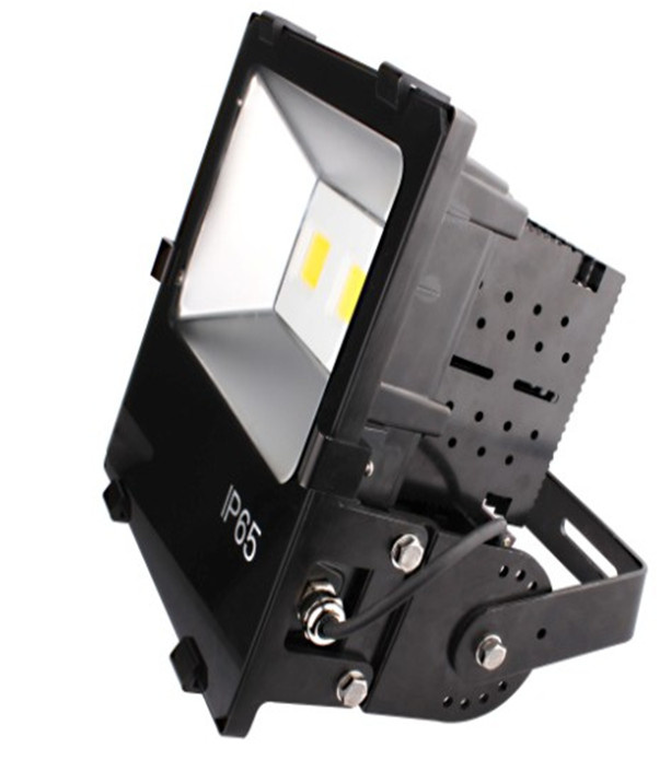 SAA CE 50W COB High Power Outdoor LED Flood Light