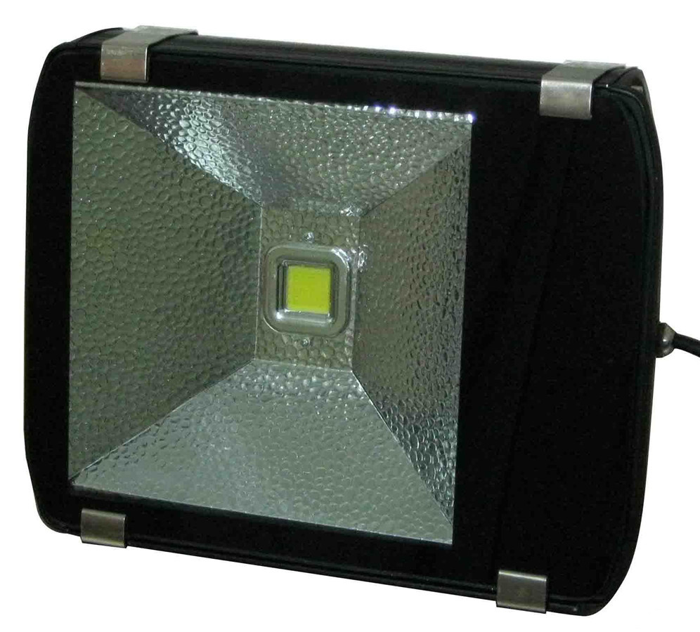 100W COB Outdoor LED Flood Light