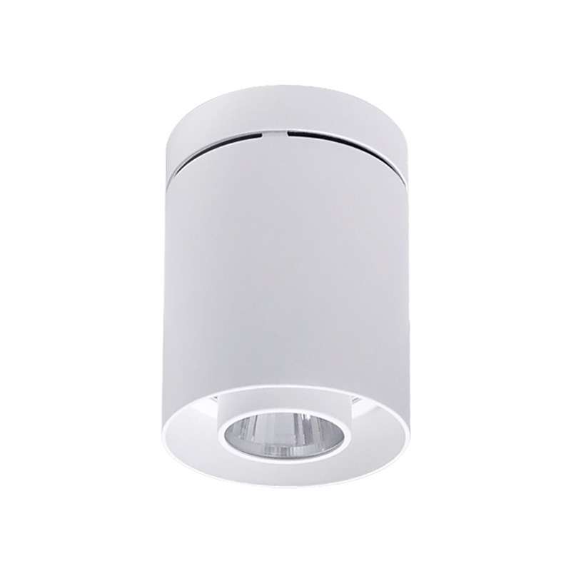 Fashion 20W Adjustable Aluminum White/Black LED Down Light