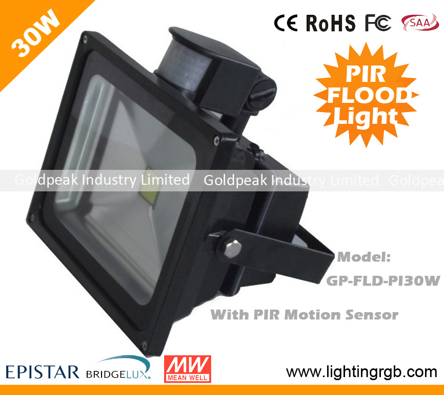 30W LED PIR Flood Light/ LED Projector Light