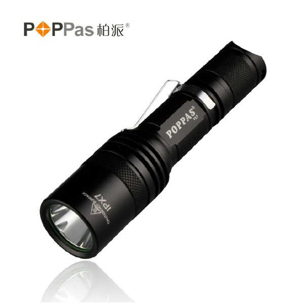 Rechargeable Brightnest CREE Xm-L U2 LED Flashlight (F17)