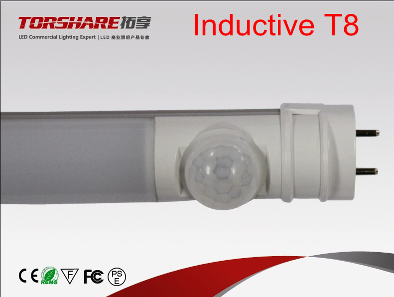 Energy-Saving LED Sensor T8 Light