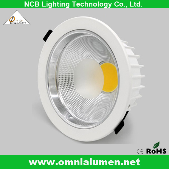 Round LED Ceiling Light with Wholesale Price (OL DL12W*)