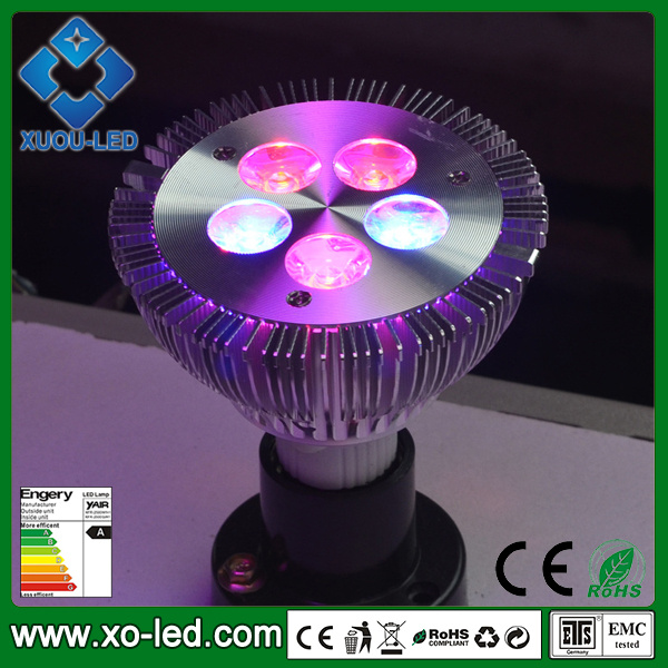 PAR30 LED Grow Light 5W LED Spotlight