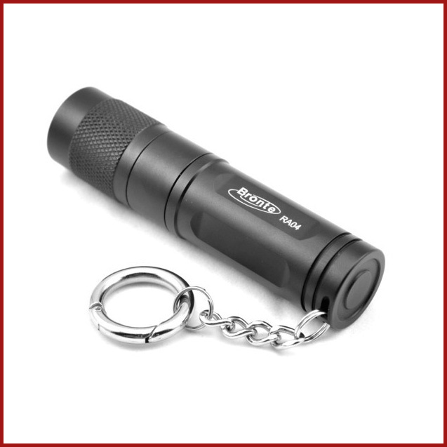 Bronte Waterproof Outdoor LED Flash Light (RA04)