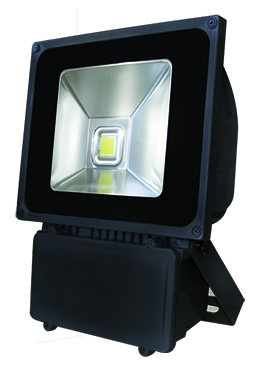 Outdoor COB Ground Mounted 100W Flood LED Light